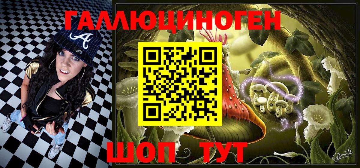 Павловский Посад  как найти   Вход с VPN  Псилоцибиновые грибы мухоморы 